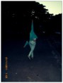 /album/fotogaleria/a431498-211332285632185-1144005856-n-jpg1/
